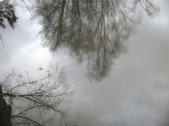 Similar image 21172645