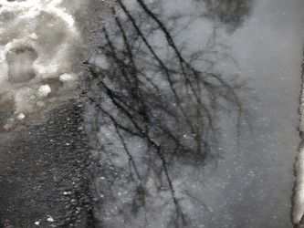 Similar image 21172646