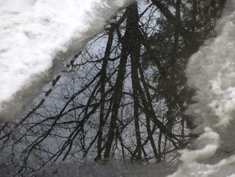 Similar image 21172650