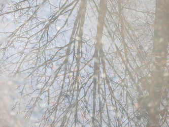 Similar image 21172653