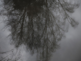 Similar image 21172654