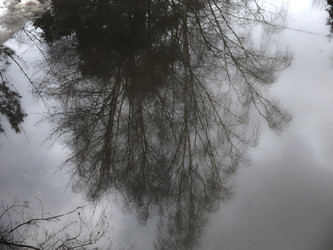 Similar image 21172656