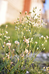 Similar image 21194337