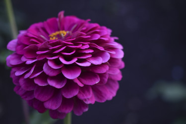 Similar image 21194338