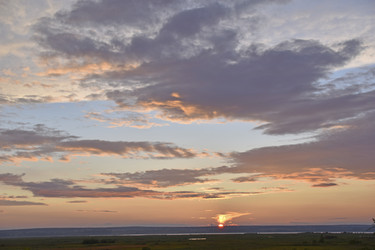 Similar image 21194340