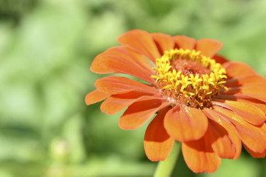 Similar image 21194341