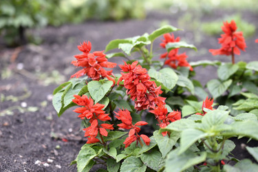 Similar image 21194343