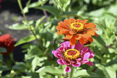 Similar image 21194345