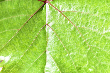 Similar image 21194346