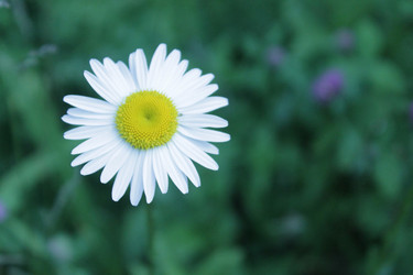 Similar image 21188204