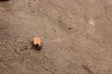 Similar image 21188206