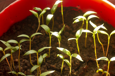 Similar image 21188209