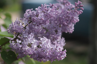 Similar image 21188212