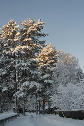 Similar image 21188214