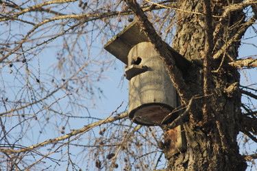 Similar image 21188215