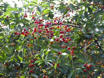 Similar image 21172658