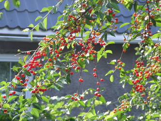 Similar image 21172659