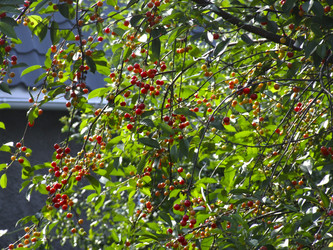 Similar image 21172660