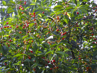 Similar image 21172661