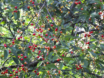 Similar image 21172662