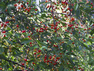 Similar image 21172663