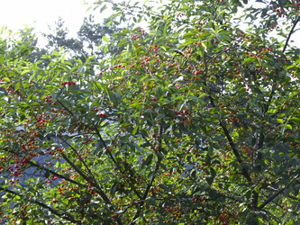 Similar image 21172665