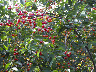 Similar image 21172666