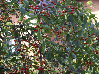 Similar image 21172667