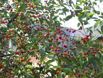 Similar image 21172668