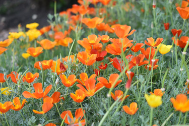 Similar image 21187404