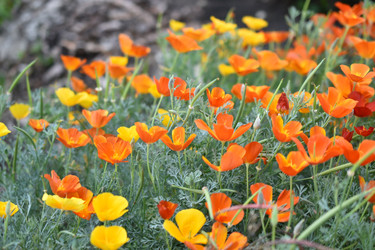 Similar image 21187406