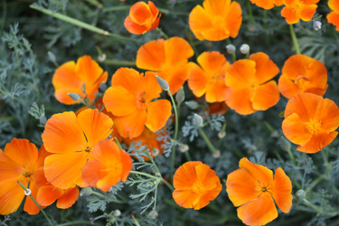 Similar image 21187442