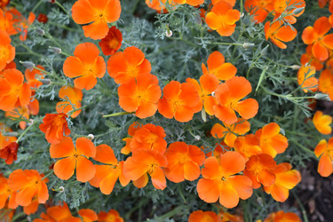 Similar image 21187444