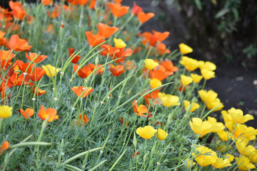 Similar image 21187445