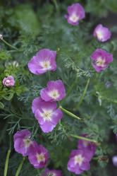 Similar image 21187448