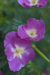 Similar image 21194351