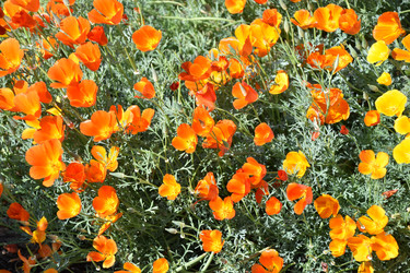 Similar image 21194352