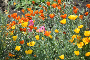 Similar image 21194355