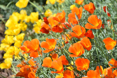 Similar image 21194357