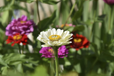 Similar image 21194358