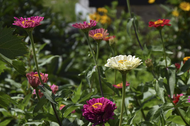 Similar image 21194359