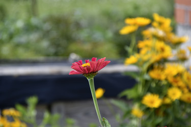 Similar image 21194362