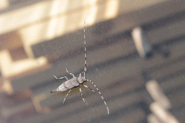 Similar image 21188221