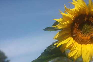 Similar image 21188223