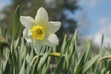 Similar image 21188232