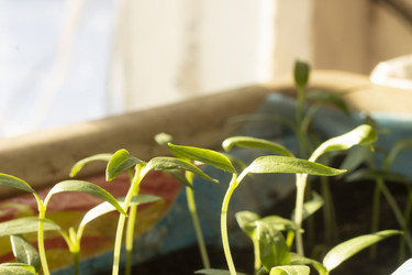 Similar image 21188234