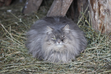 Similar image 21188235