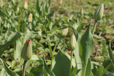 Similar image 21188238