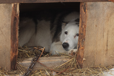 Similar image 21188240