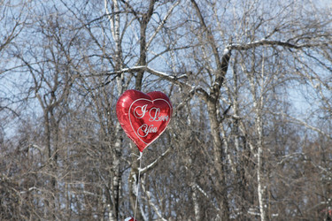 Similar image 21188243